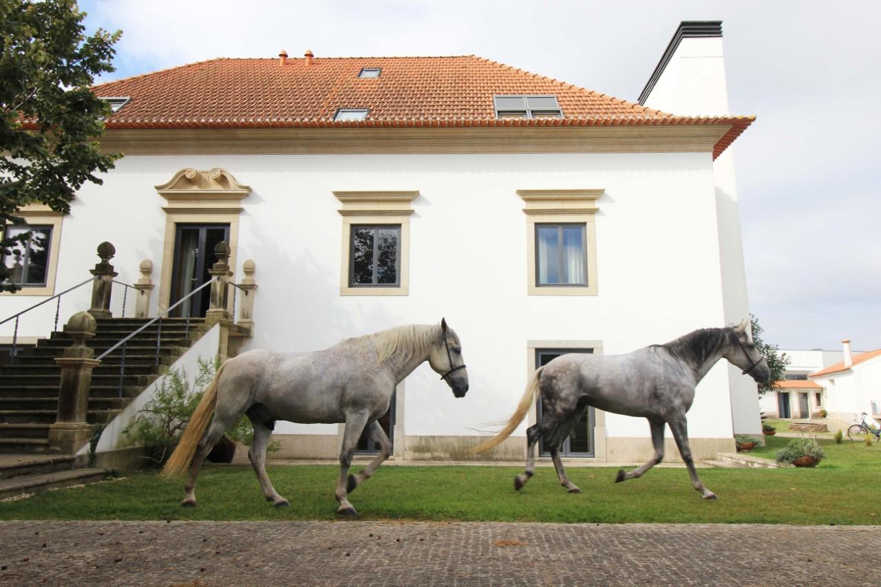 Quinta Da Aldeia De Avanca 외부 사진
