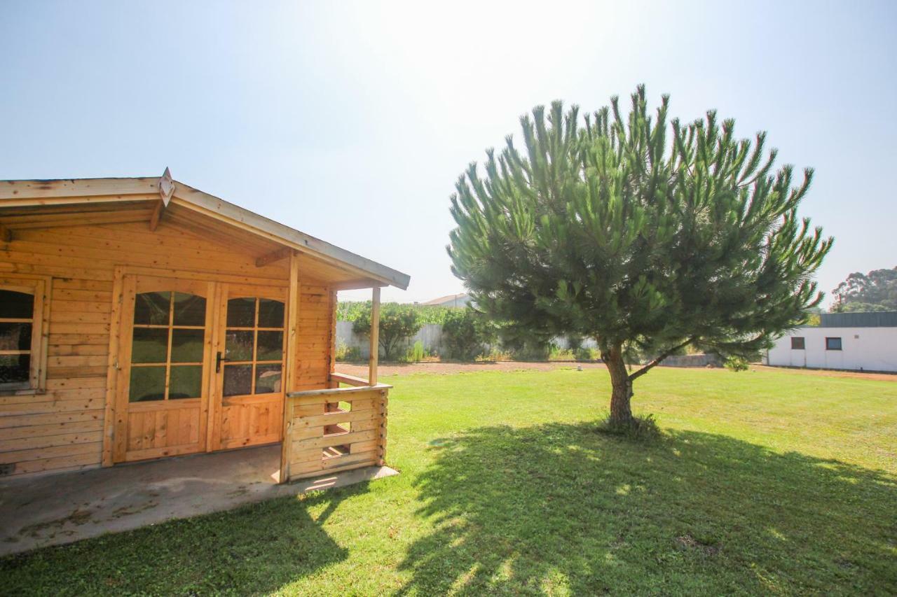 Quinta Da Aldeia De Avanca 외부 사진